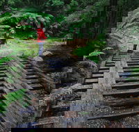 Montezuma Falls - Attractions Brisbane