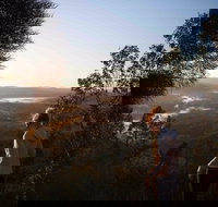 Mount Arthur Reserve - Attractions Brisbane