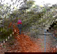 Mount Matilda Walk Trail Wongan Hills - Attractions Brisbane