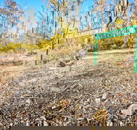 Mt Glenrowan Lookout Walk - Attractions Brisbane