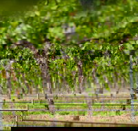 Murrumbateman - Attractions Brisbane