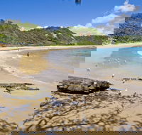 Nambucca Heads Beaches - Attractions Brisbane