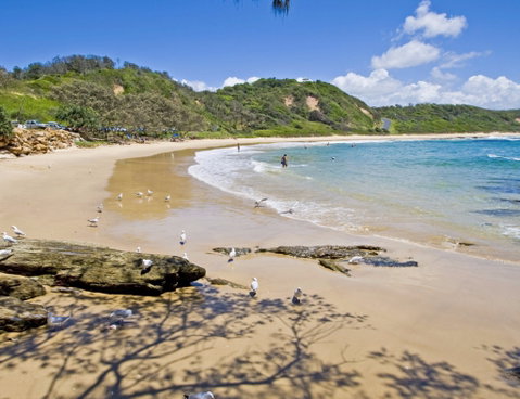 Nambucca Heads Beaches - Attractions Brisbane 0