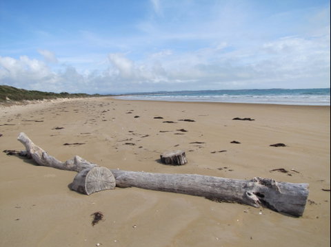 Narawntapu National Park - Attractions Brisbane 2