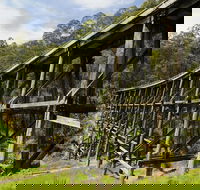 Noojee Trestle Bridge - Attractions Brisbane