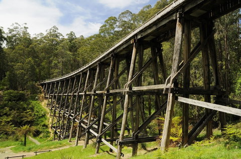 Noojee Trestle Bridge - Attractions Brisbane 0