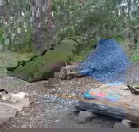 Northbrook Mountain Bush Camp - Attractions Brisbane