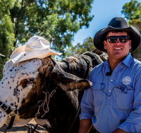 Outback Stockman's Show - Attractions Brisbane