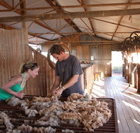 Peron Homestead - Attractions Brisbane