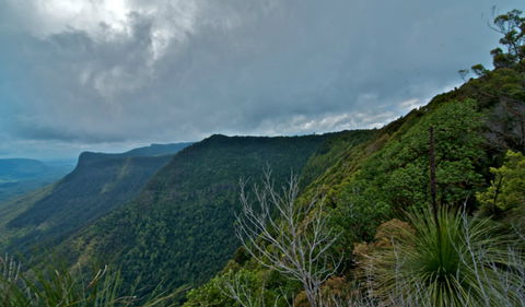 Pinnacle Walk And Lookout - Attractions Brisbane 0