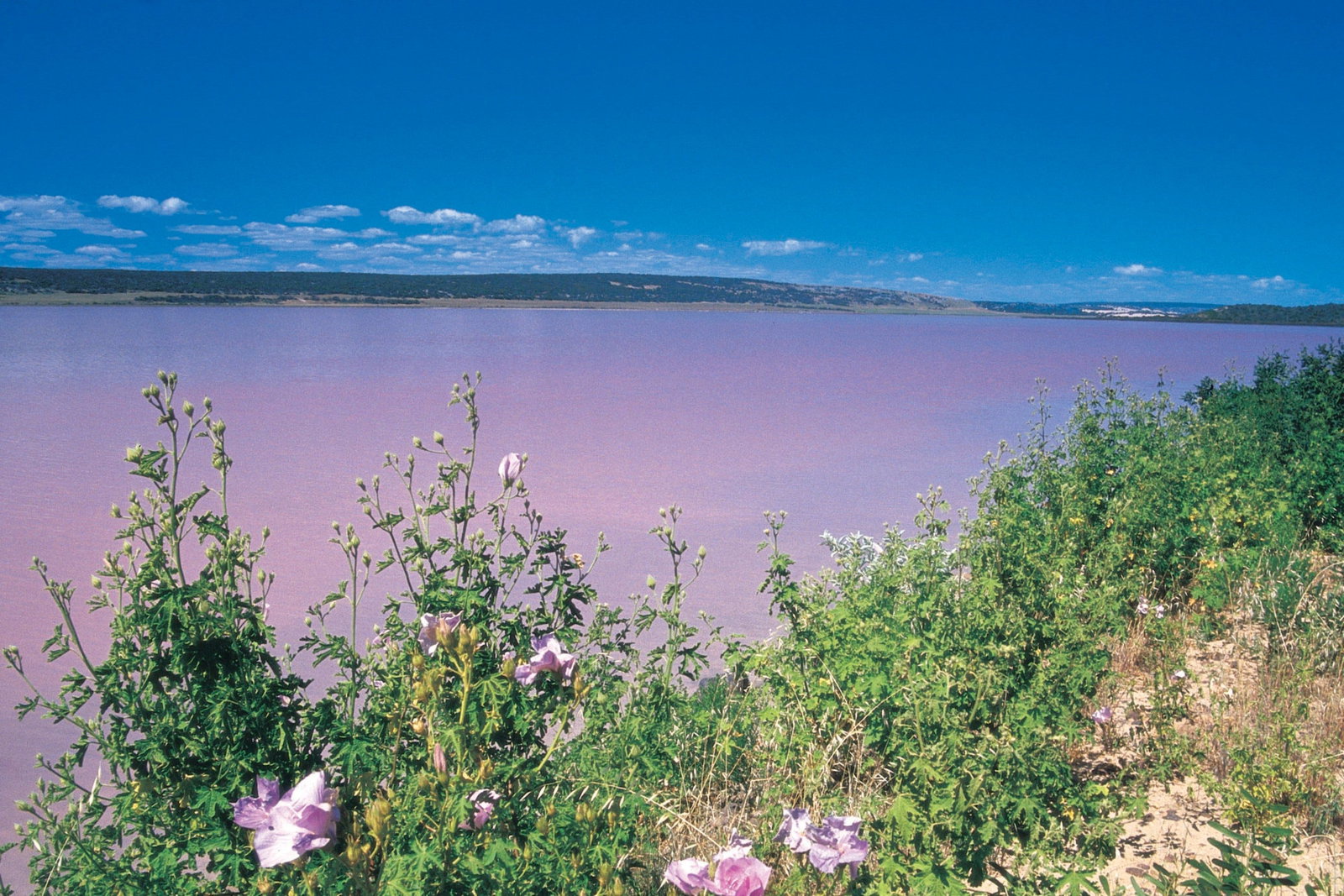 Gregory WA Attractions Brisbane