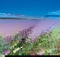 Port Gregory - Attractions Brisbane