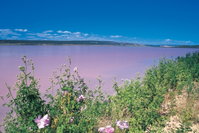 Book Gregory Accommodation Vacations Attractions Brisbane Attractions Brisbane