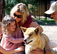 Potoroo Palace Native Animal Sanctuary - Attractions Brisbane