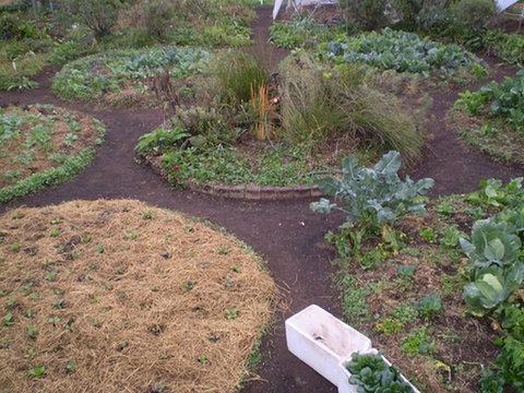 Purple Pear Farm - Attractions Brisbane 1