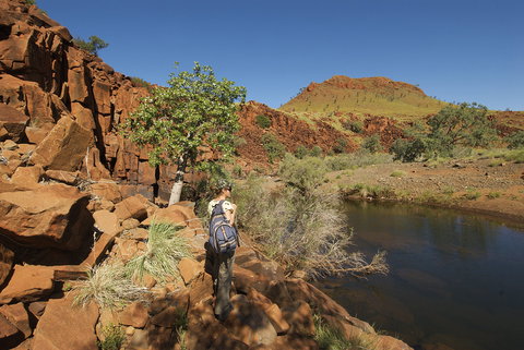 Rail Access Roads - Pilbara - Attractions Brisbane 1