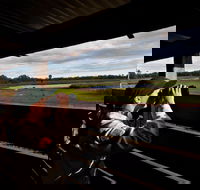 Reed Beds Bird Hide Boardwalk - Attractions Brisbane