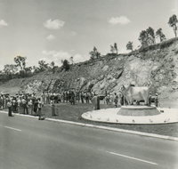Rockhampton Bull Statues - Attractions Brisbane