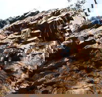 Rock Climbing in Morialta - Attractions Brisbane