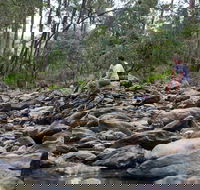 Rocksberg Park Heritage Reserve - Attractions Brisbane