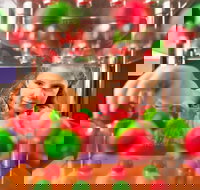 Sciencentre - Attractions Brisbane