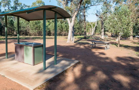 Spring Hill Picnic Area - Attractions Brisbane 0