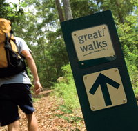 Sunshine Coast Hinterland Great Walk - Attractions Brisbane