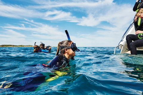 Swim With Dolphins Day Trip - Attractions Brisbane 0