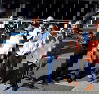 Sydney Cricket and Sports Grounds the SCG - Attractions Brisbane