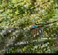 Tamborine Mountain - Attractions Brisbane