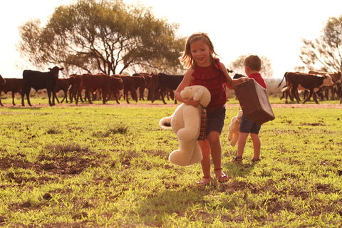 Tambo Teddies - Attractions Brisbane 1