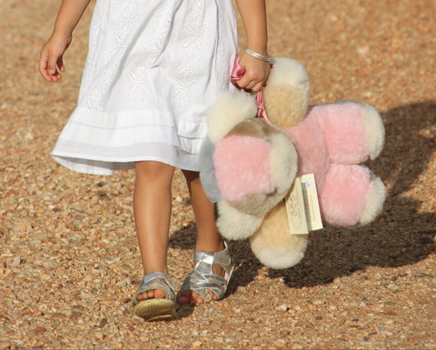 Tambo Teddies - Attractions Brisbane 2