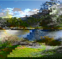 Tasmanian Arboretum Inc. - The - Attractions Brisbane