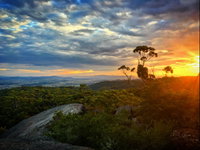 Tenterfield