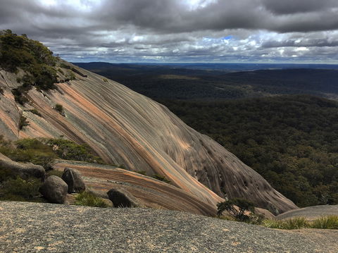 Tenterfield - Attractions Brisbane 1