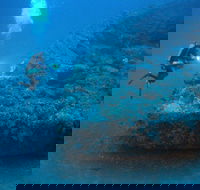 The Zanoni Wreck - Attractions Brisbane