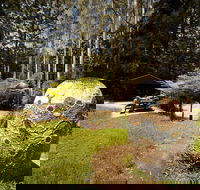 The Pines Picnic Area