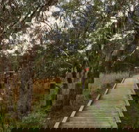 The Briars Park Walking Trails - Attractions Brisbane