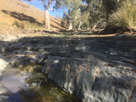 Three Creeks Station -Arkaroona Creek Walk - Attractions Brisbane 0
