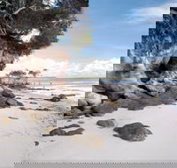 Tinnanbar - Attractions Brisbane