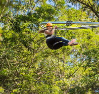 TreeTop Crazy Rider - Attractions Brisbane