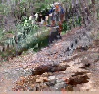 Turner Hill Mountain Bike Trail Murray - Attractions Brisbane