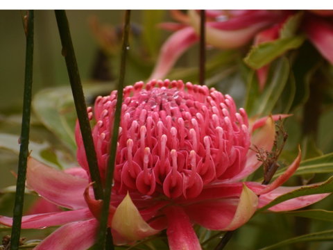 Vortex Healing Centre - Attractions Brisbane 2