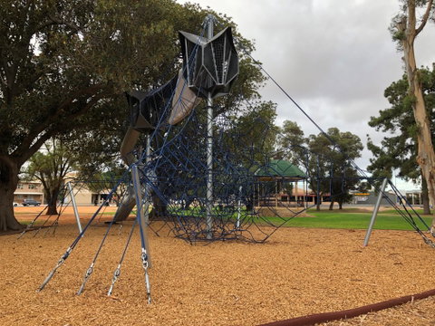Walk In The Trees, Kadina - Attractions Brisbane 1