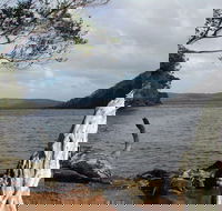 Walpole-Nornalup Inlet - Attractions Brisbane