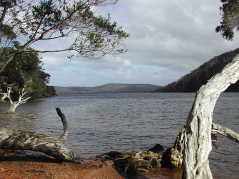 Walpole-Nornalup Inlet - Attractions Brisbane 0