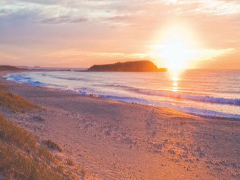 Warilla Beach: Shellharbour - Attractions Brisbane 0