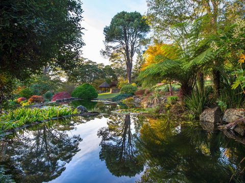 Windyridge Garden Mount Wilson - Attractions Brisbane 1