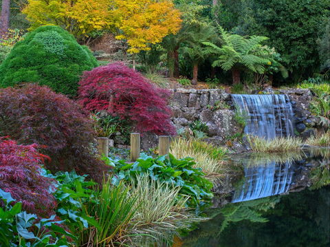 Windyridge Garden Mount Wilson - Attractions Brisbane 2