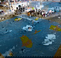 Wodonga Sports and Leisure Centre - Attractions Brisbane